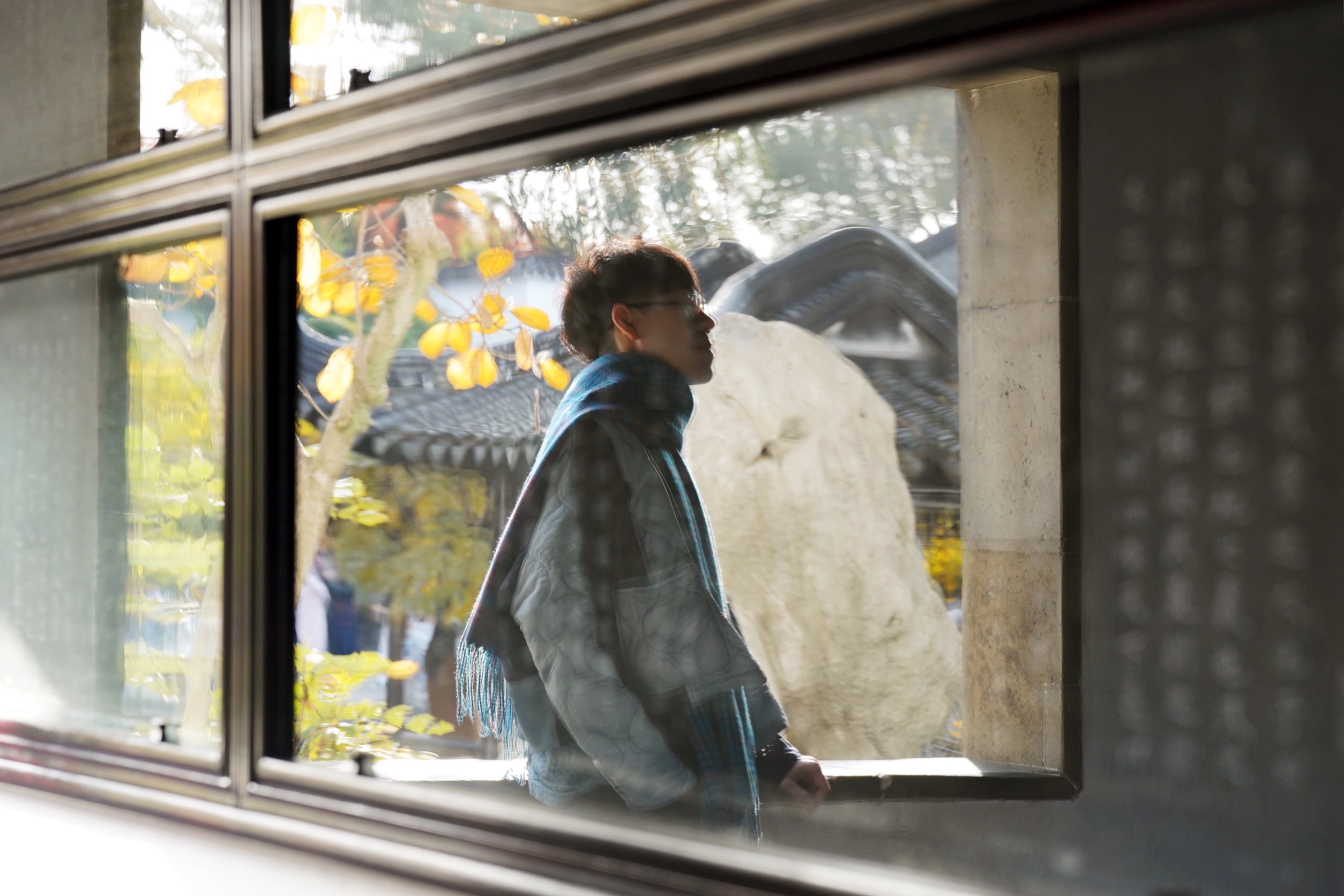 今年，放慢腳步，多留了些時間去看世界。