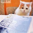從鋼筆字到個人識別設計｜2016《遠見30》專訪：你今天，寫字了嗎？
