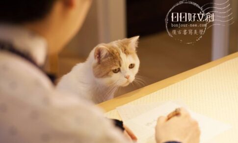 很多人是為了練字而來，卻先認識了雪比