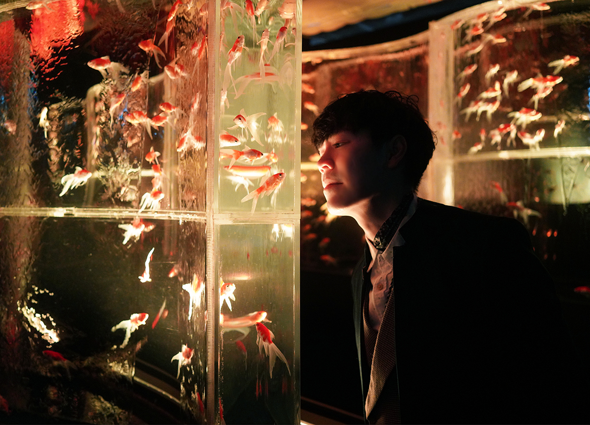 東京金魚藝術展，觀察各種金魚優雅姿態的好地方。